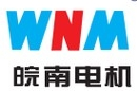 皖南电机